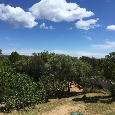 Apartment Rez De Jardin D'une Zonza