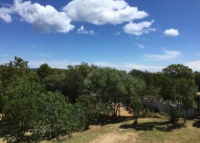 Lägenhet Rez De Jardin D'une Zonza